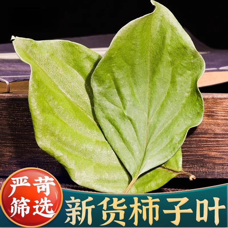 柿子叶干柿子叶新鲜干货非霜后柿叶柿子叶青嫩干柿子叶