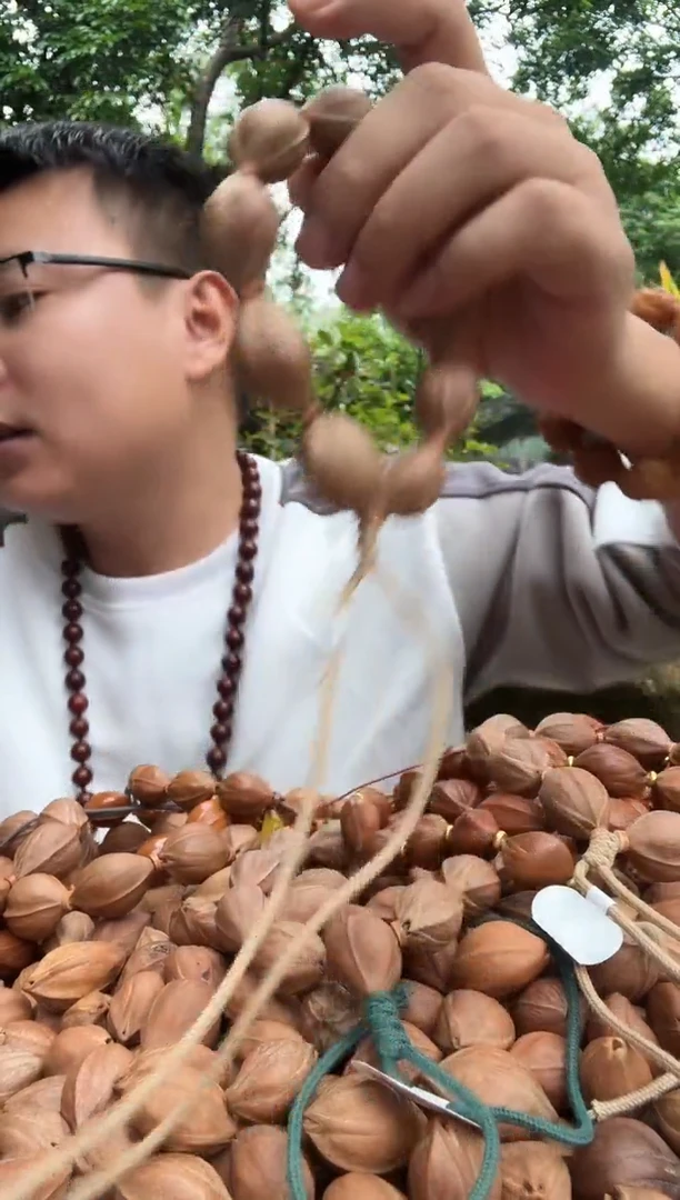 橄榄核手串19+29老核 下播福利 梅林铁核168