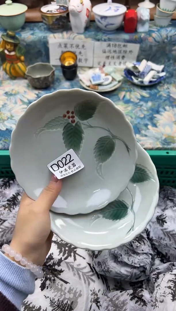 瓷片）              D022