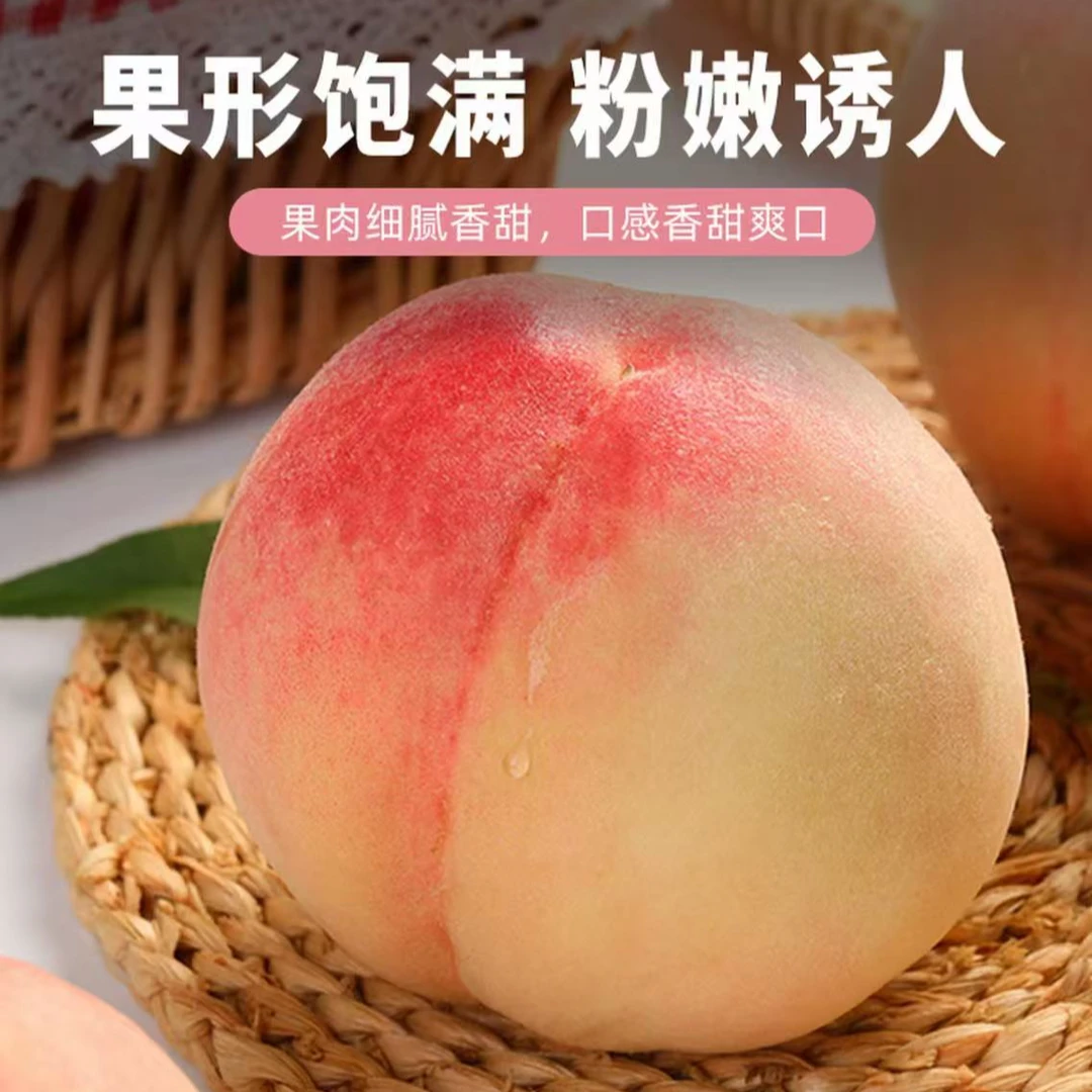 【小桃王白凤】正宗阳山水蜜桃5-6两礼盒装6只装1箱/(12只)拍1箱送1箱自家园子当季新鲜水果桃子江苏省