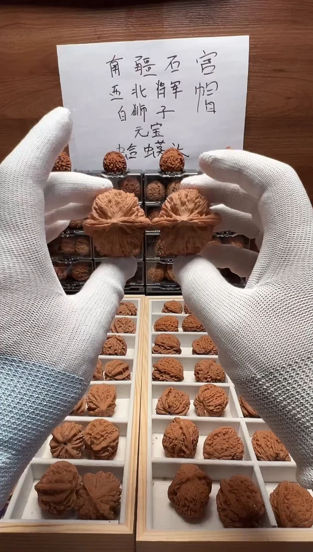 把件桃核白狮子(球白)
