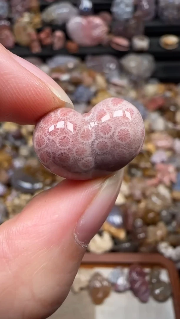 颈饰未镶嵌硅化珊瑚（珊瑚玉）388