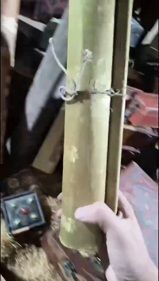 香榧木（1个小卷卷）