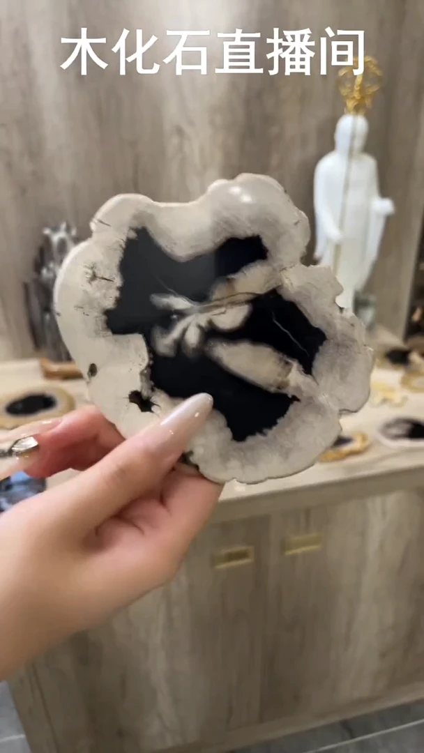 石材木化石杯垫一件