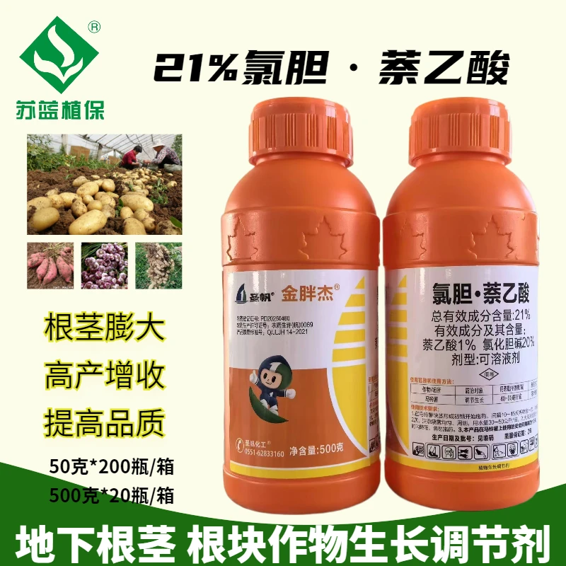 21%氯胆·萘乙酸 土豆大蒜花生红薯地下作物茎块膨大剂膨大不空心