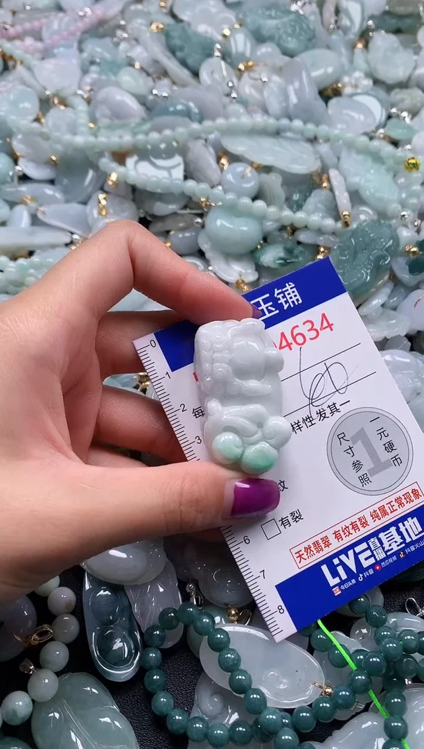 颈饰未镶嵌翡翠4634