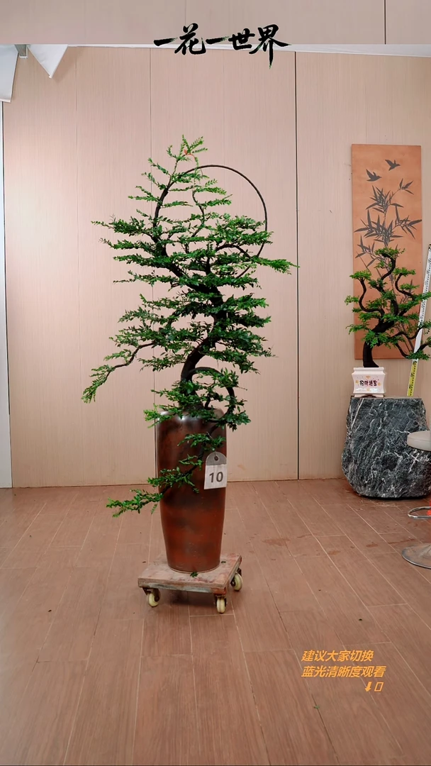 无花朵牧*【闪购链接】10号链接