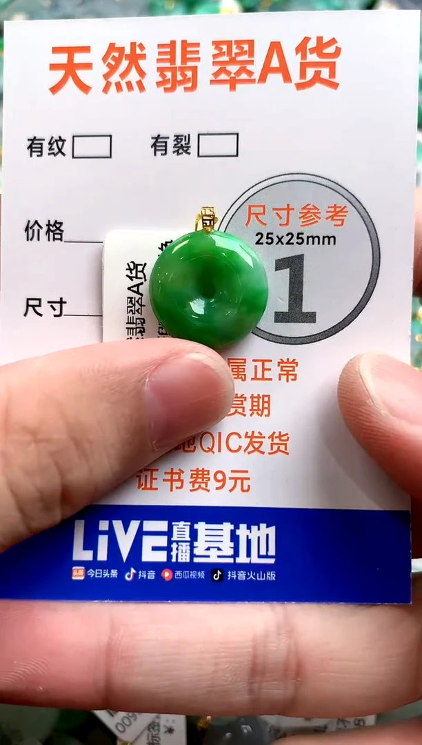 颈饰未镶嵌翡翠0581349114