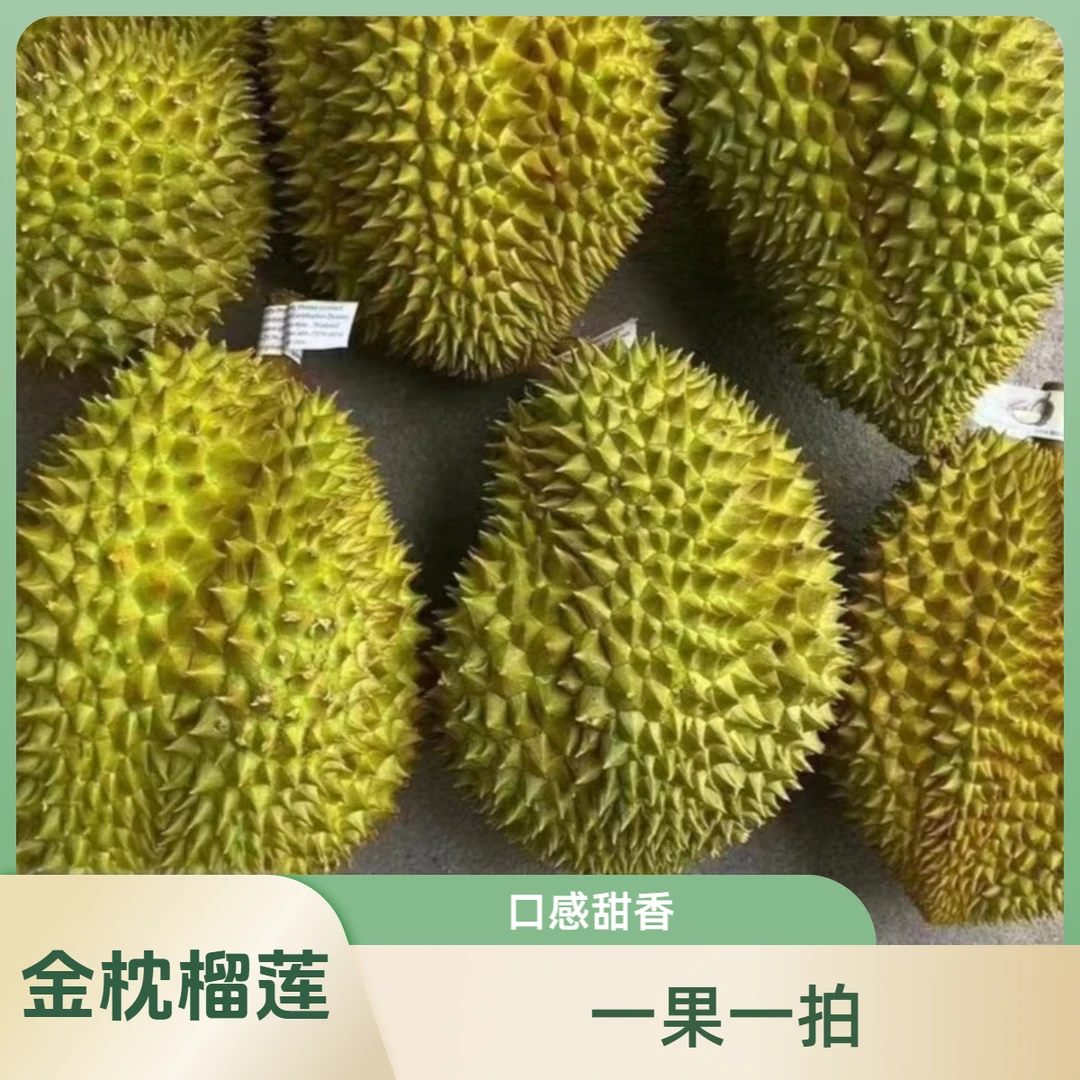 金枕榴莲鲜果（现称改价）  下单默认打开，不打开请备注榴莲