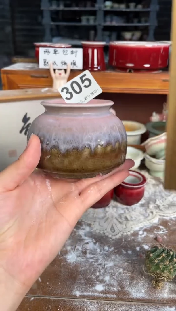 瓷片305知木小芳花盆