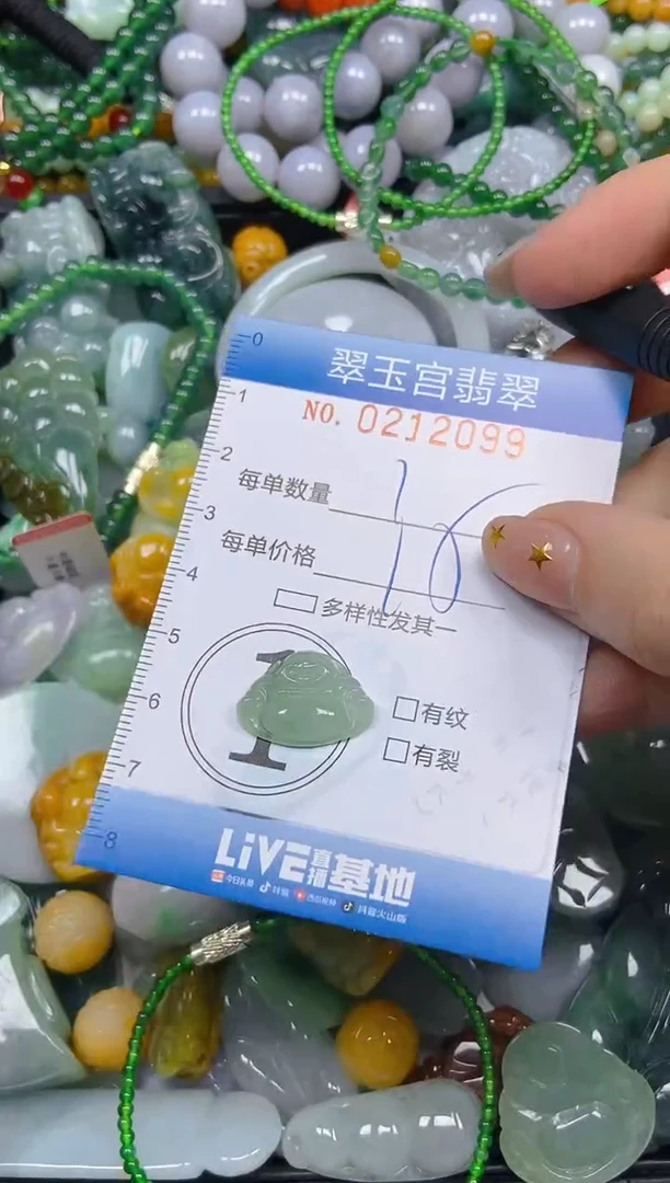 颈饰未镶嵌翡翠闪购C0212099