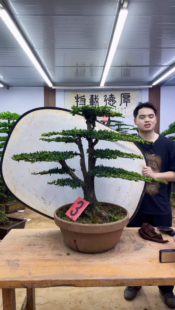 无花朵申*豹00000000000000000