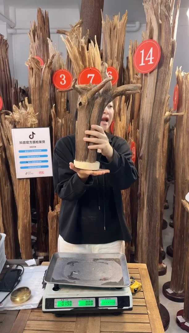 【闪购商品】沉香摆件沉香摆件多样性发一件63