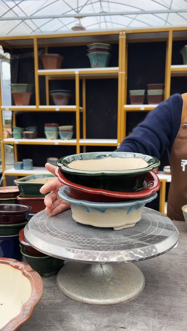 31号盆 三色组合