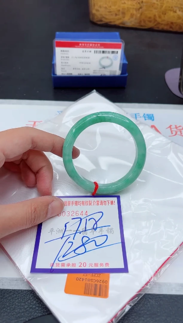 未镶嵌手镯翡翠1