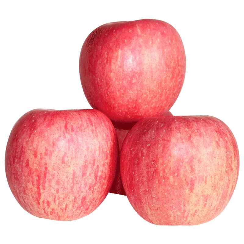【18枚家庭装】庆阳当季新鲜正宗红富士苹果【顺丰包邮】