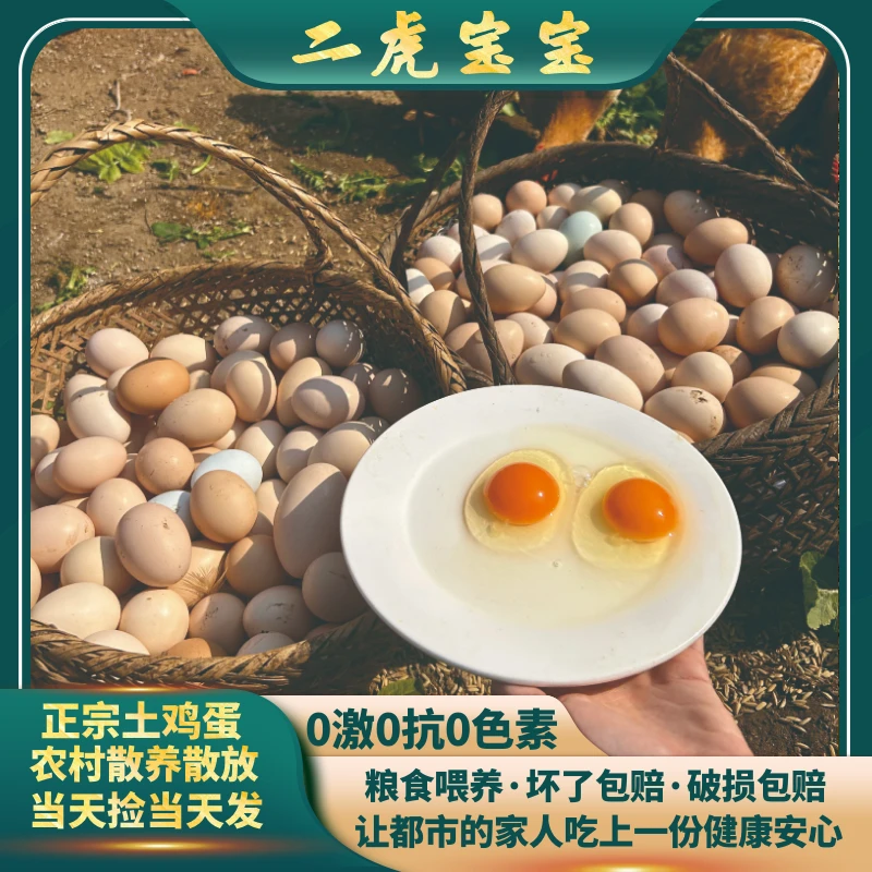 〖宝宝专属〗正宗农家散养土鸡蛋鲜鸡蛋新鲜营养无抗生态自然早餐