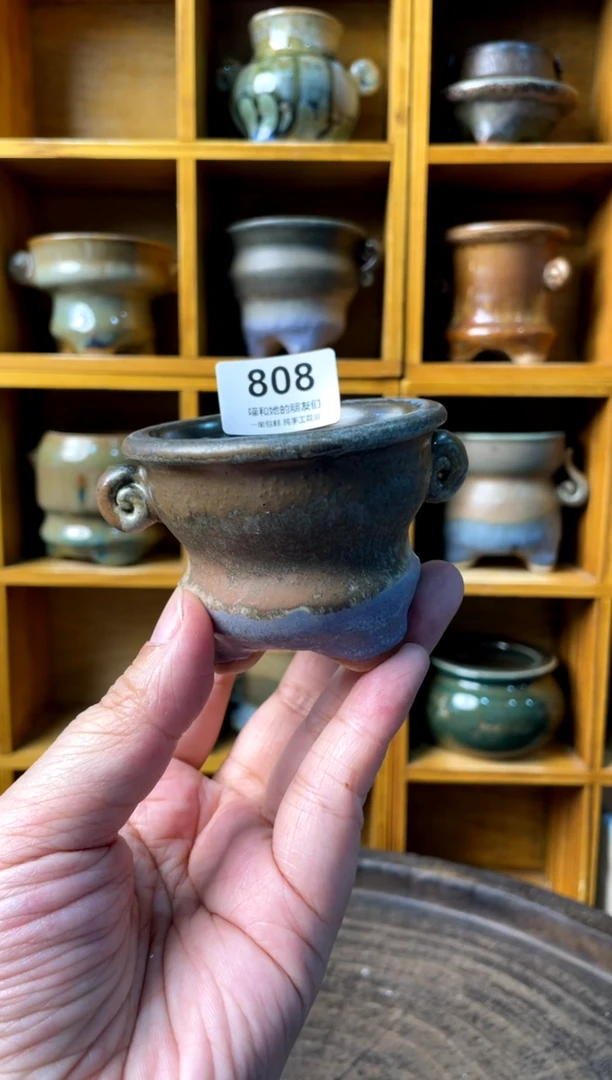 808【多肉花盆多肉盆】