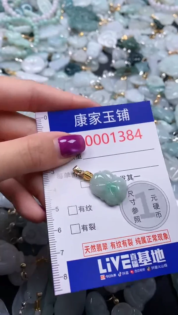 颈饰未镶嵌翡翠1384