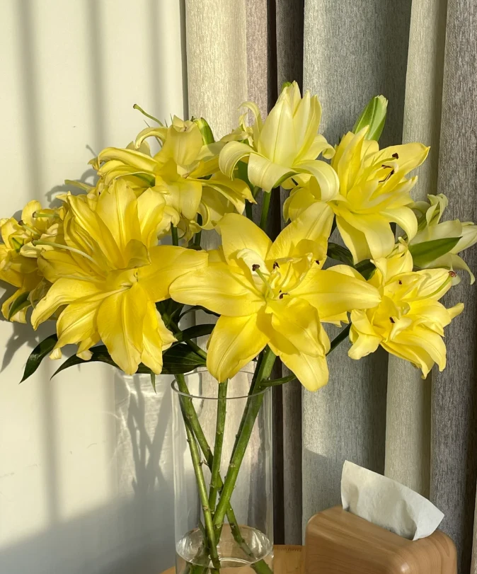 【异国阳光AK】香水百合  基地直发 | 全场鲜花任意两单包邮