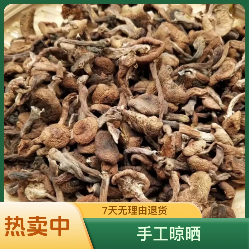 东北榛蘑农家自晒正宗榛蘑去根东北干货榛蘑小鸡炖蘑菇250g包邮