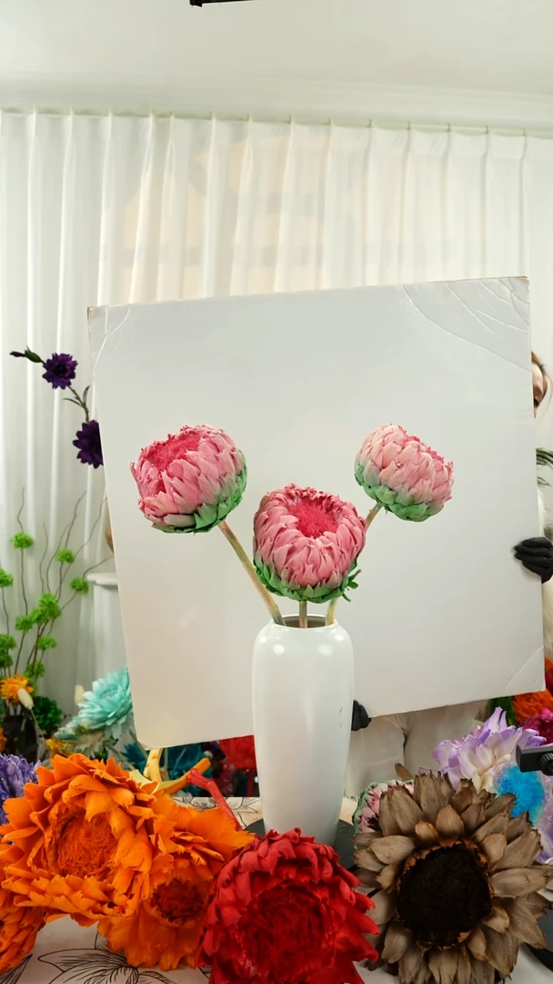 永生洋蓟 霸王花3 个头叶片有伤【荷花】A32