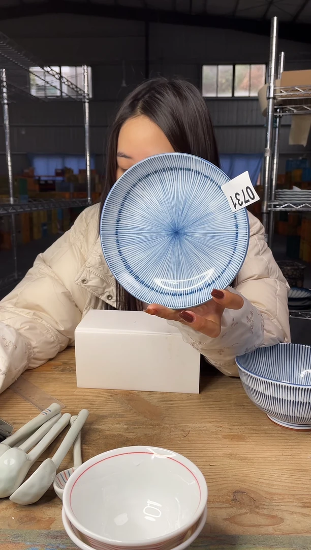 【闪购商品】瓷片731号 16*3