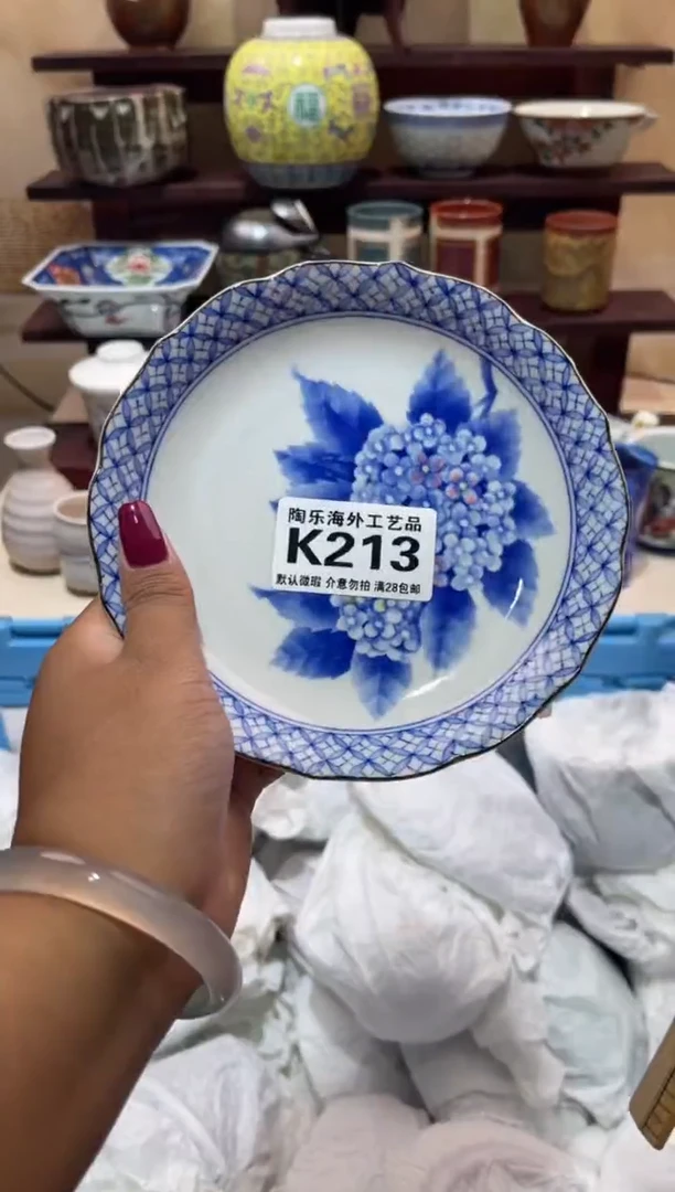 瓷片深***鱼          K213