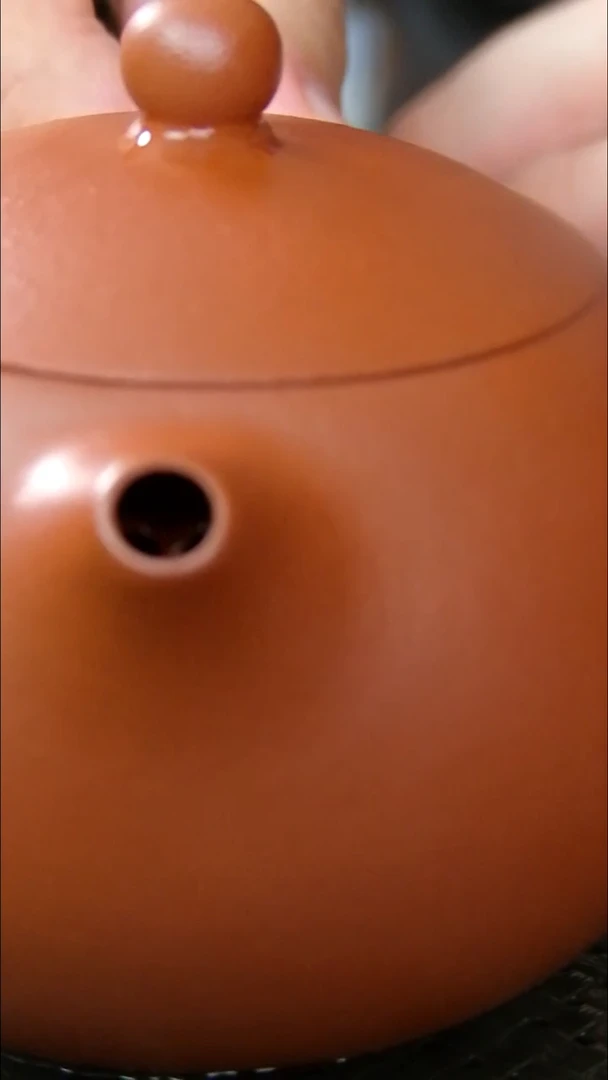 茶杯紫砂疯****条朱泥西施      190CC