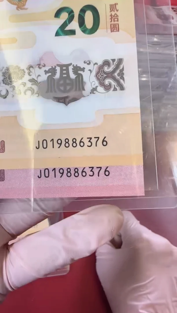 【闪购商品】塑料2025蛇钞啊啊啊啊啊全同号