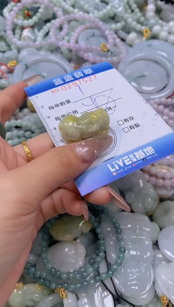 翡翠未镶嵌颈饰闪购0297527多样性发其一