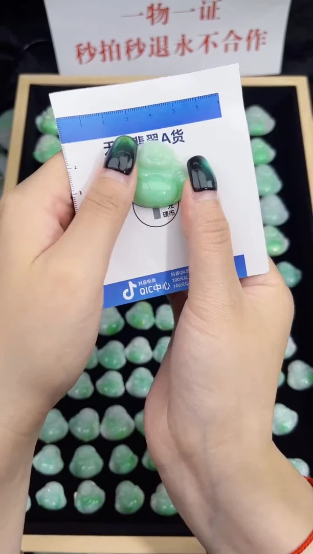颈饰未镶嵌翡翠翡翠A货