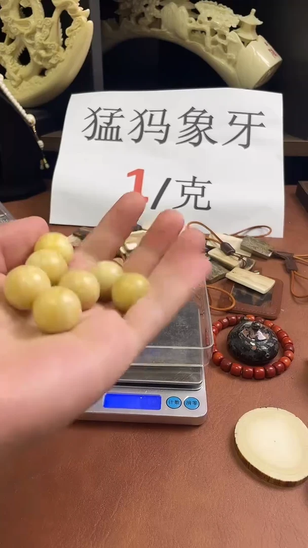 猛犸社会牛20m单珠