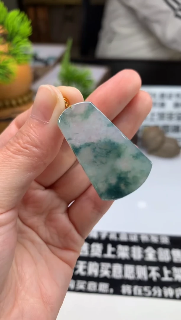 颈饰未镶嵌翡翠感****安---106293