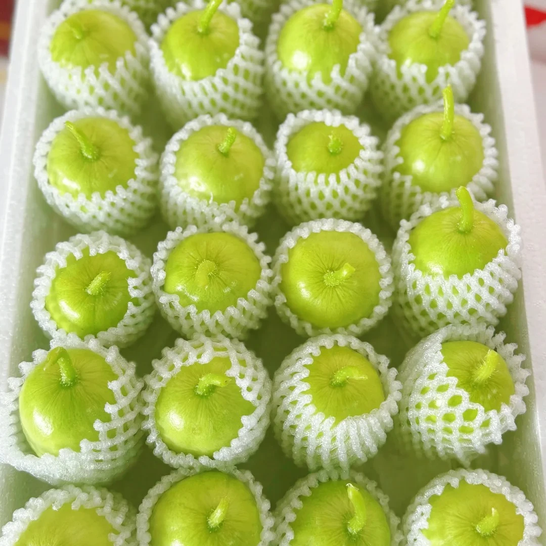 【新店特惠】山东金童玉女原生拇指小黄瓜现摘现发生吃鲜嫩脆爽代餐