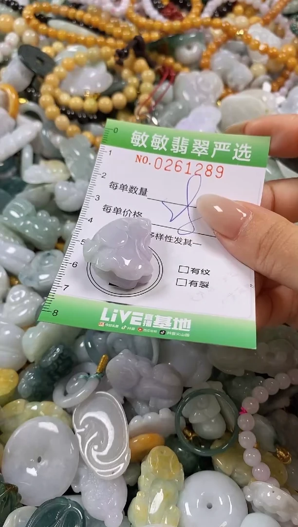 翡翠未镶嵌颈饰闪购0261289