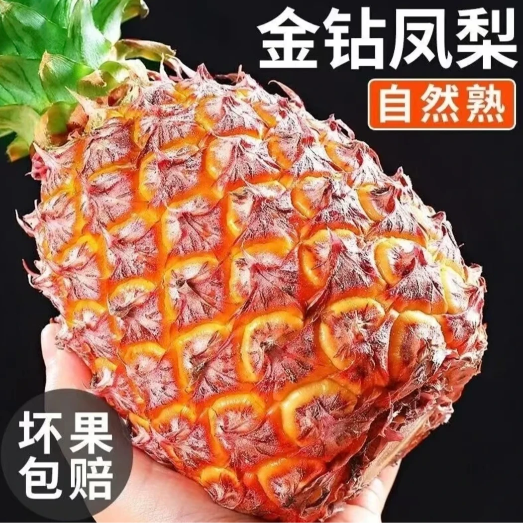 【1次日达包邮到家】海南金钻凤梨2个5斤装新鲜