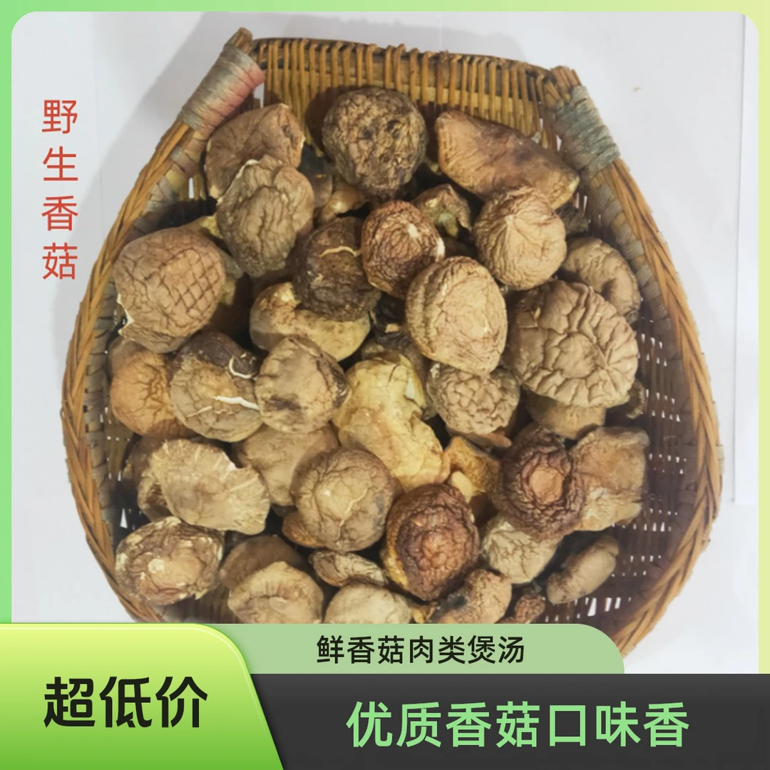 城口咸宜干香菇肉类煲汤食用