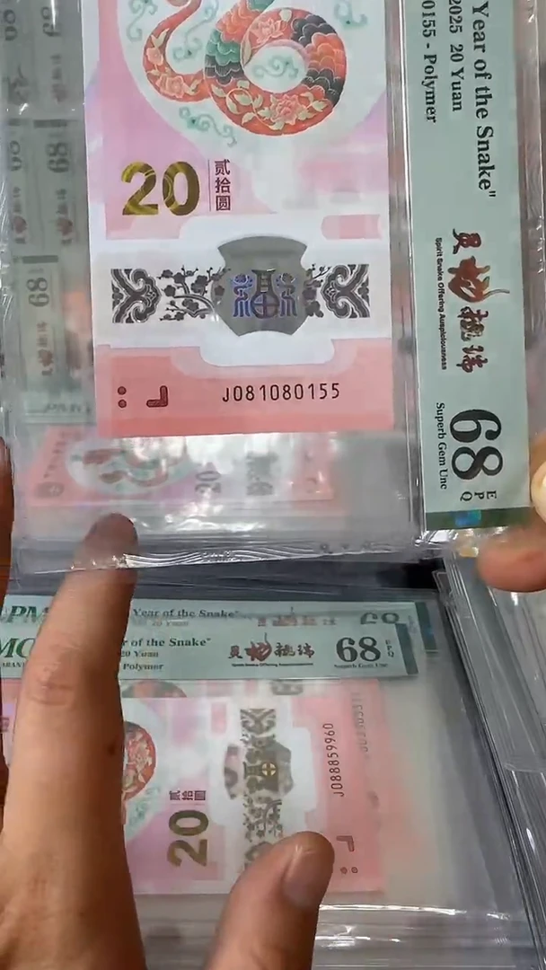 塑料081080155-蛇钞单张