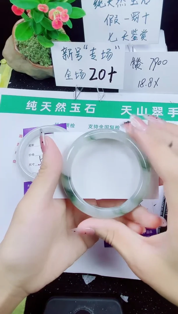 未镶嵌手镯石英质玉204-54/55