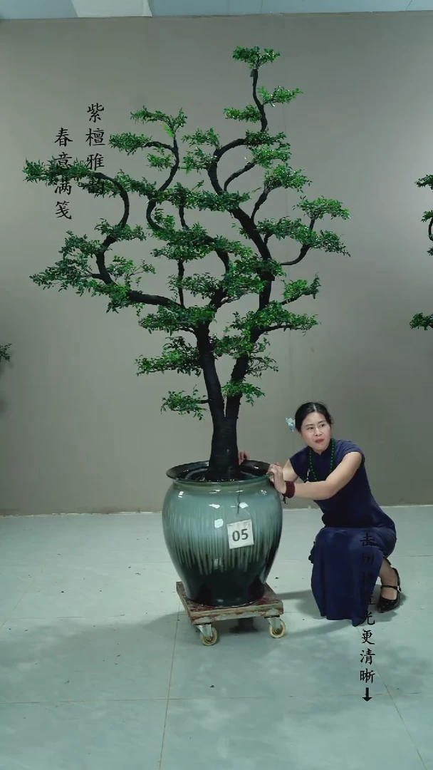 无花朵静*者05号链接