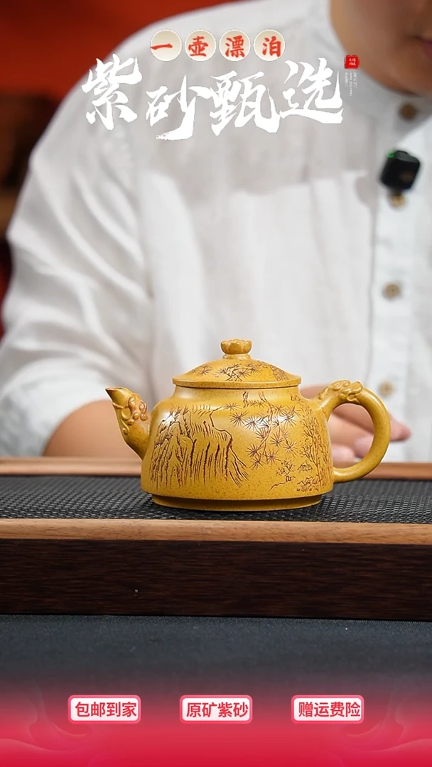 茶壶紫砂 一壶漂泊紫砂茶器1403