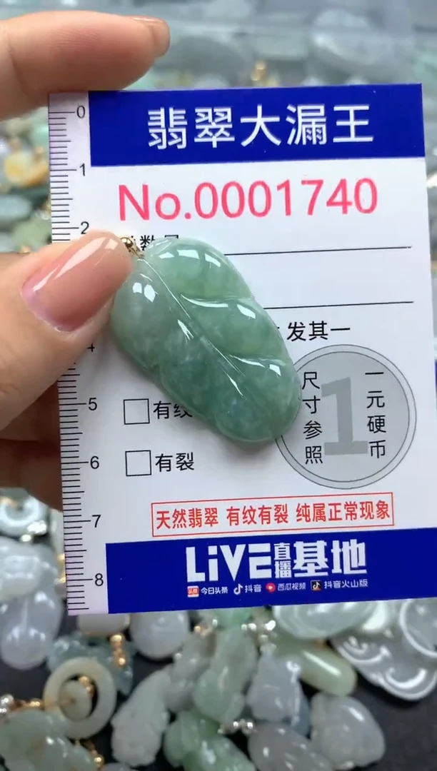 颈饰未镶嵌翡翠1740
