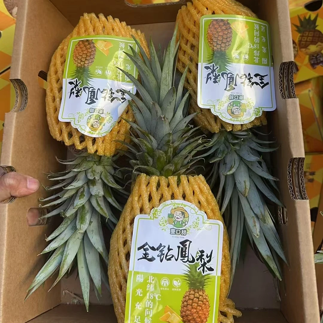 金钻凤梨【4.5斤3个】【顺丰包邮今天拍明天到】