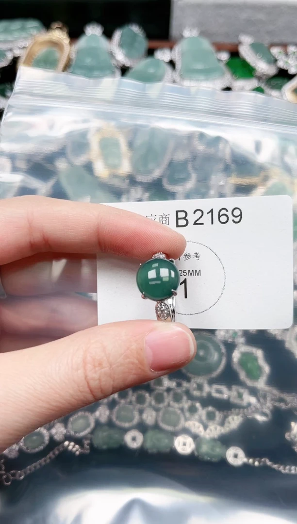 【闪购商品】翡翠颈饰未镶嵌赠皮绳2169