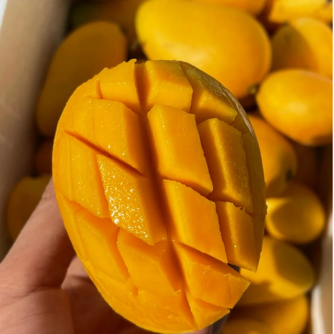 【瑕疵中小芒果2斤】中台芒2斤（补售后）芒果同城配