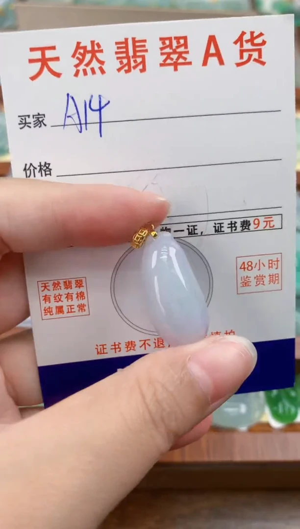 颈饰未镶嵌翡翠天然A货翡翠挂件