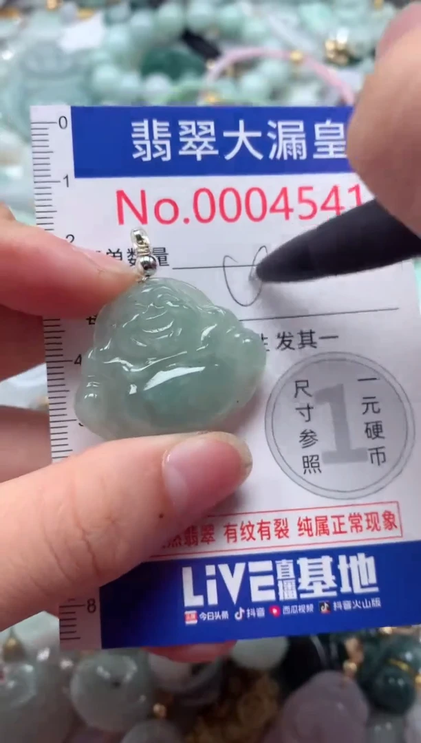 翡翠未镶嵌吊坠(不含链)4541