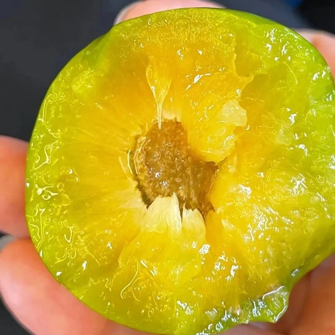 【家庭装】贵州六马蜂糖李新鲜采摘应季水果脱骨李脆甜多汁3/5斤装李子同城送贵州省