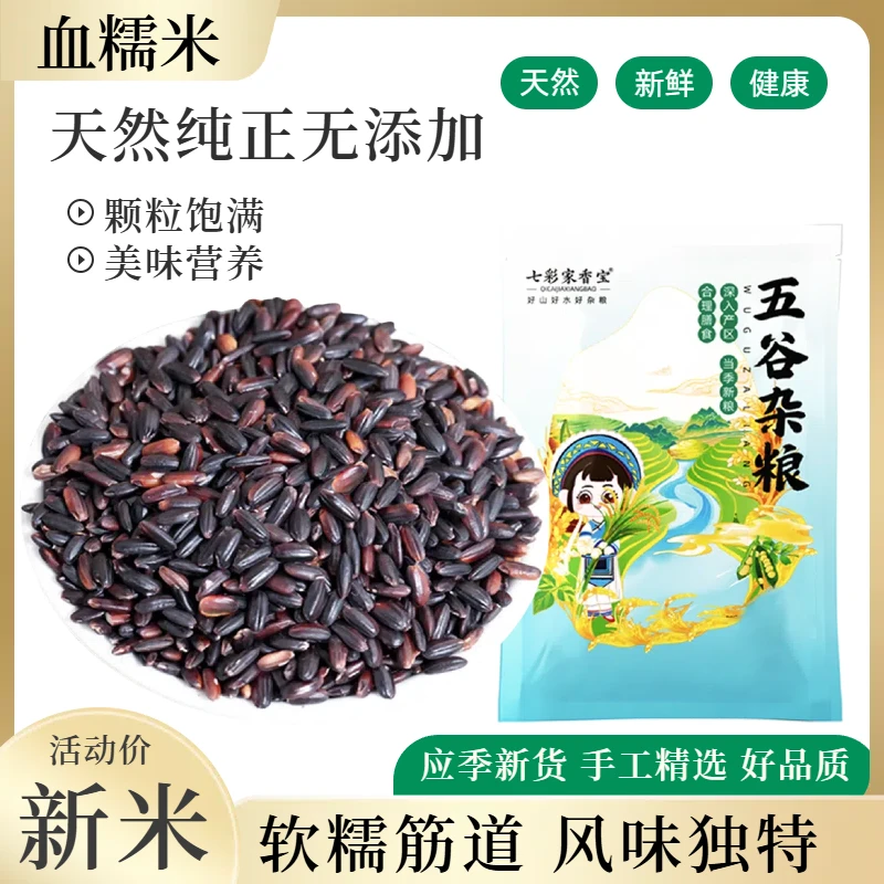 血糯米500g1斤黑糯米当季精选农家江米粗粮饭粽子米五谷杂粮糯米